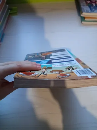 Los Forasteros del Tiempo 1: La aventura de los...