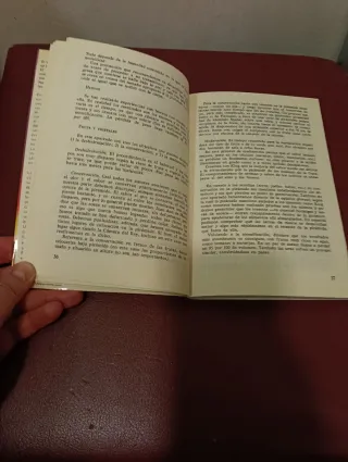 El poder de las pirámides 2 (Nueva fontana) (S...