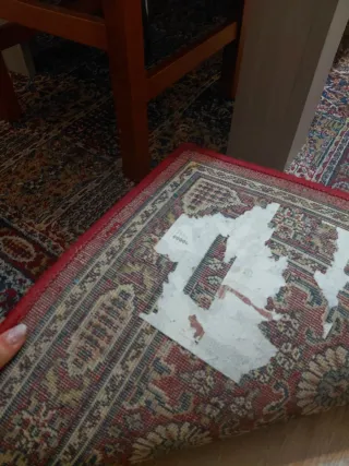 Tappeto persiano grande per salotto