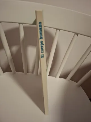 Der Körper. Wissen kompakt. Organe, Körpersyste...