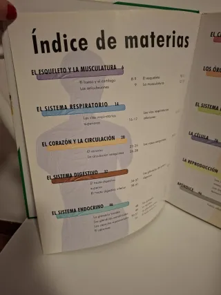 Der Körper. Wissen kompakt. Organe, Körpersyste...