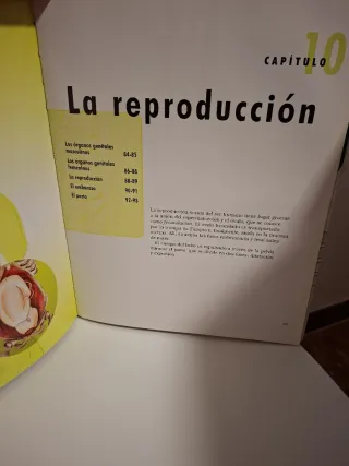 Der Körper. Wissen kompakt. Organe, Körpersyste...