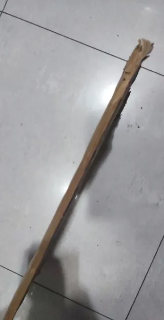 Álbum Historia España. Edad antigua. Completo.