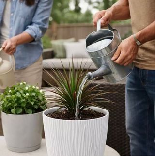 Maceta Blanca 24 cm diámetro Diseño Oasis