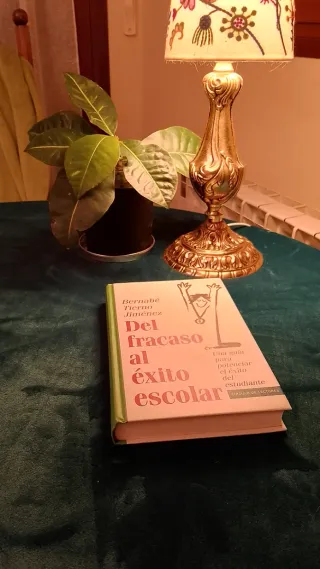 Del fracaso al éxito escolar: una guía para pot...