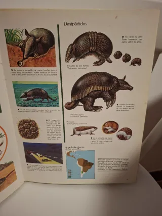 Naturaleza amiga/Animales: Anfibios