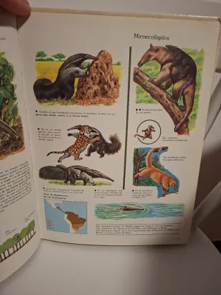 Naturaleza amiga/Animales: Anfibios