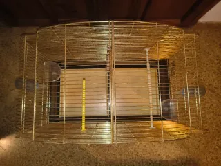 Jaula para Canarios y Pájaros Exóticos