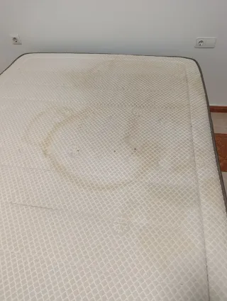 Limpieza sofas, colchones..con maquinaria karcher