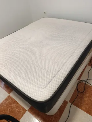 Limpieza sofas, colchones..con maquinaria karcher