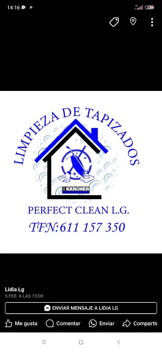 Limpieza sofas, colchones..con maquinaria karcher