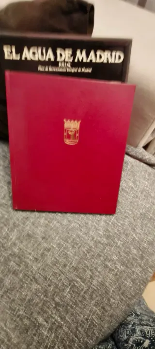 Libro El agua de Madrid