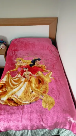 Manta Princesas Disney Manterol Cama 90