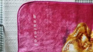 Manta Princesas Disney Manterol Cama 90