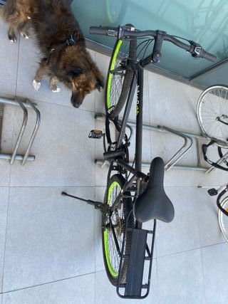 Bicicleta Urbana BikeFlo