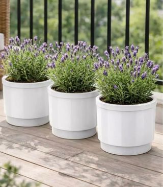 Maceta autorriego interior/exterior 18cm 4L