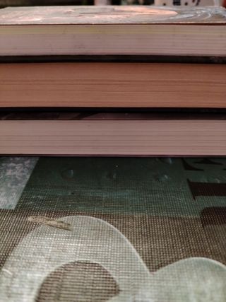 Lote de 3 libros fantásticos