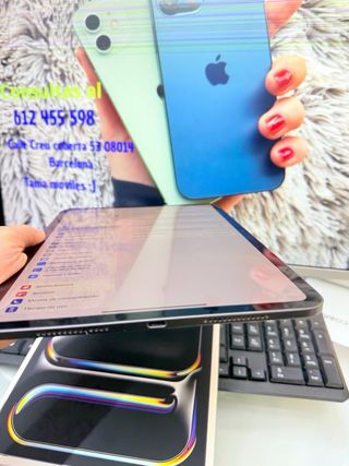 iPad Pro 11 M4 256GB Wifi Gris Espacial
