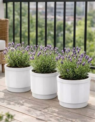 Maceta autorriego Ø 22 cm 8L blanco