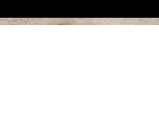 Disfraz Neuvillette Genshin Impact Talla Única