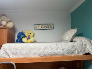 Litera doble madera y metal