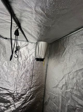 Armario cultivo indoor 120X120X180