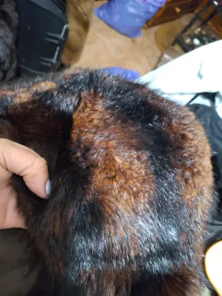 Abrigo de piel marrón y negro