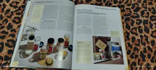 Peinture à l'huile / Bases - Techniques - Motifs