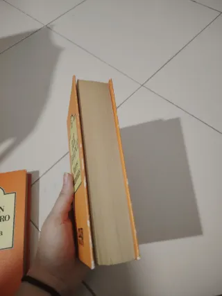 Libro Mujeres enamoradas