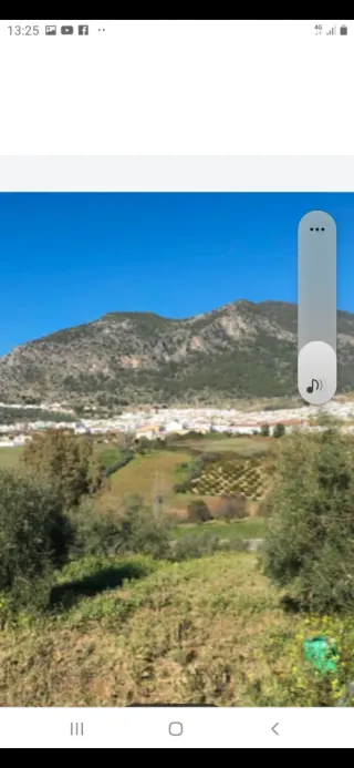 Olivar 10.032m2 en venta 130 olvios aprox