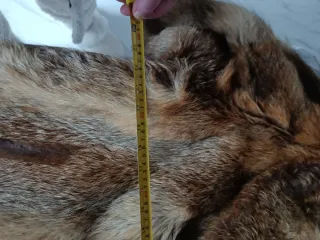 Cappotto in pelliccia.