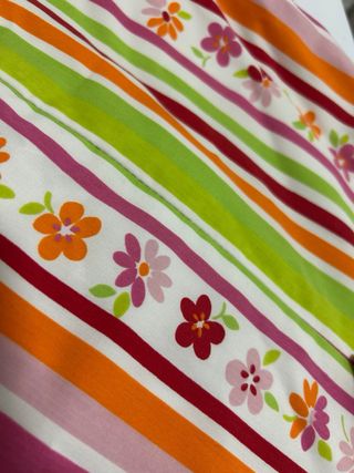 Conjunto Flamenca de Basi del Rio.