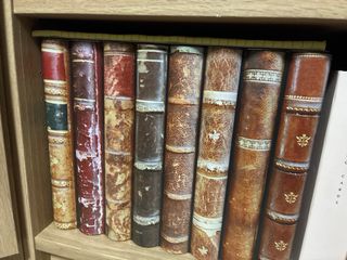 Edición Coleccionista Nightmare Bloodborne PS4