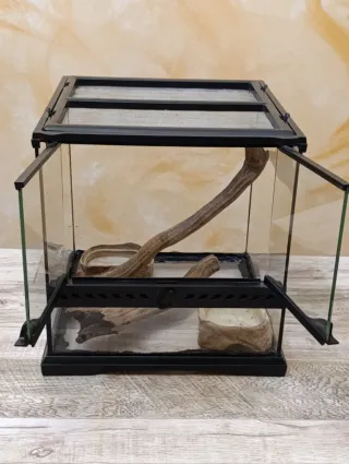 Terrario Exo Terra 30x30