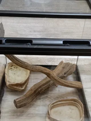 Terrario Exo Terra 30x30