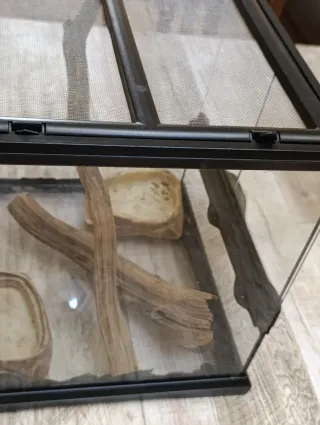 Terrario Exo Terra 30x30