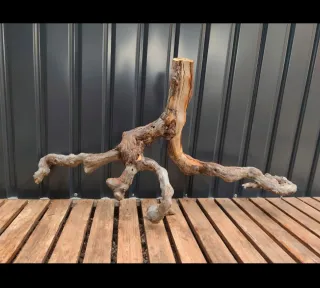 Raíz/tronco Decoración acuario OFERTA SOLO HOY!