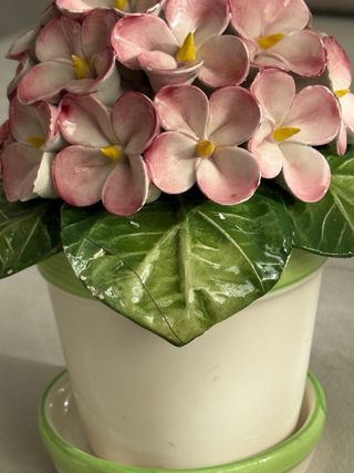 Maceta Cerámica Hortensia Rosa