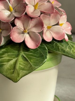 Maceta Cerámica Hortensia Rosa