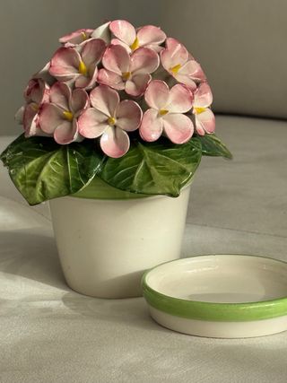 Maceta Cerámica Hortensia Rosa