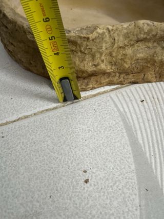 Bebedero/Comedero Roca Tortugas