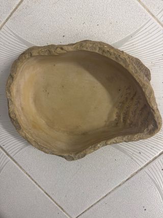 Bebedero/Comedero Roca Tortugas