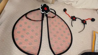 Disfraz Mariquita Talla 10-12