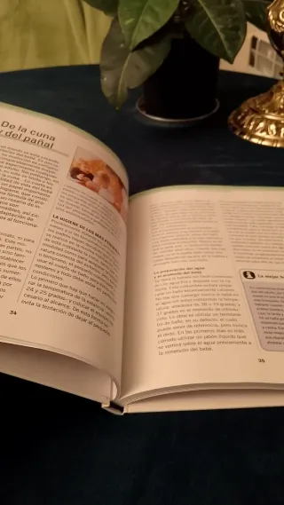 Guia Practica De La Salud Infantil