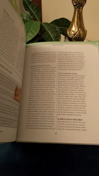 Guia Practica De La Salud Infantil