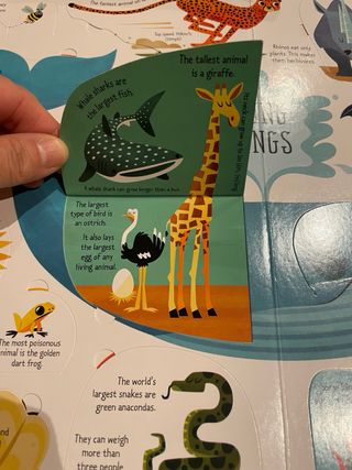 Usborne Lift-the-Flap Collection 5 Books Set by...