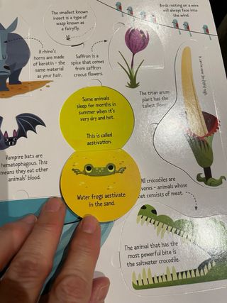 Usborne Lift-the-Flap Collection 5 Books Set by...