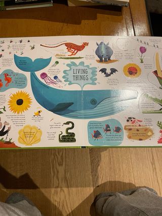 Usborne Lift-the-Flap Collection 5 Books Set by...