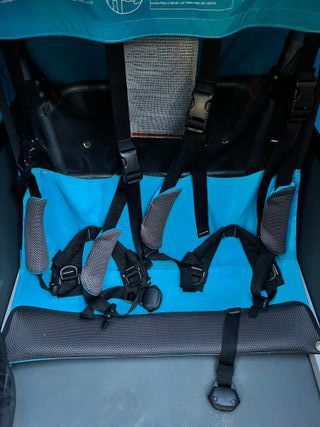 Thule Coaster XT - Remolque y Cochecito