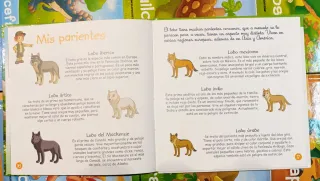 Libros El mundo de los dinos y Vivo en el bosque